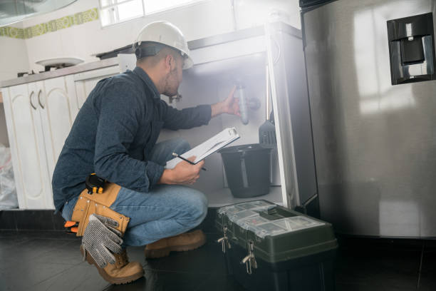 Best Commercial Plumbing Services  in Springville, IA