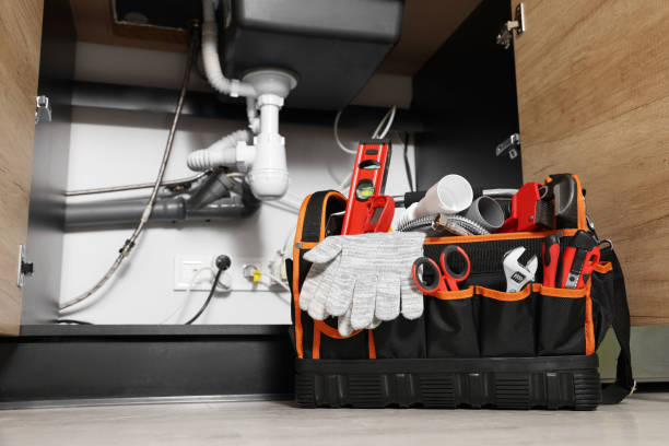 Best Affordable Plumber Near Me  in Springville, IA
