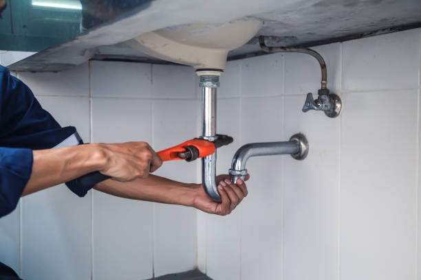 Best Residential Plumbing Services  in Springville, IA