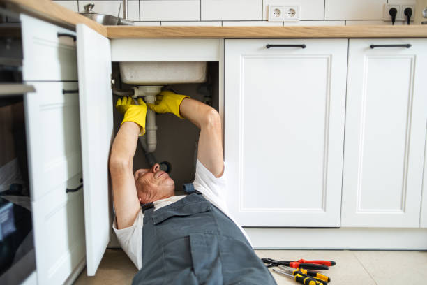 Professional Plumbing in Springville, IA
