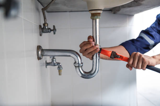 Best Plumbing Inspection Services  in Springville, IA