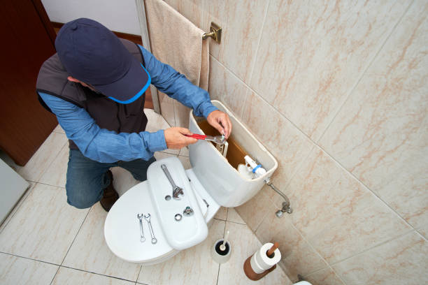 Best Plumbing Services Near Me  in Springville, IA