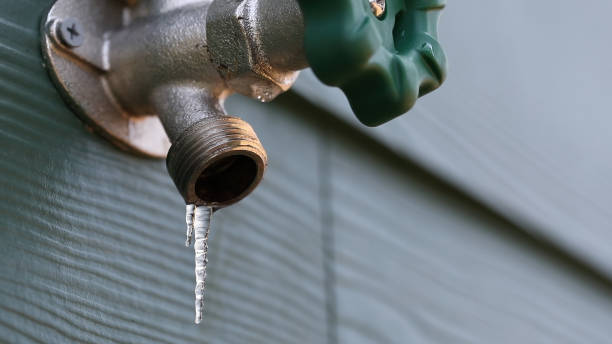 Best Sewer Line Repair  in Springville, IA