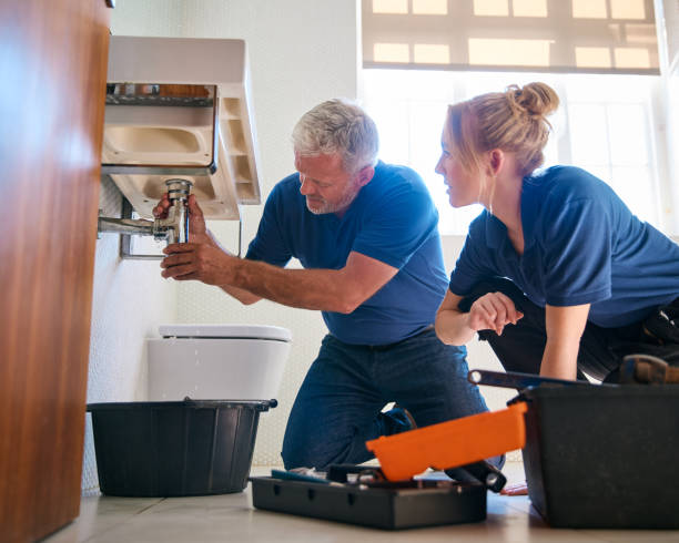  Springville, IA Plumbing Pros